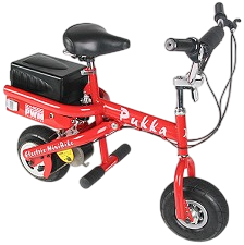 Pukka Electric Mini Bike