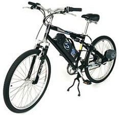 Lashout Electric Bicycle